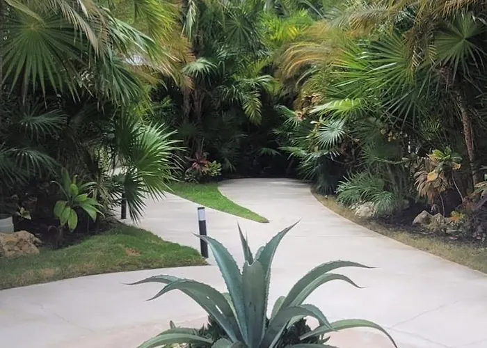 Luxury 1br With Rooftop Pool In Prime Playa Location *